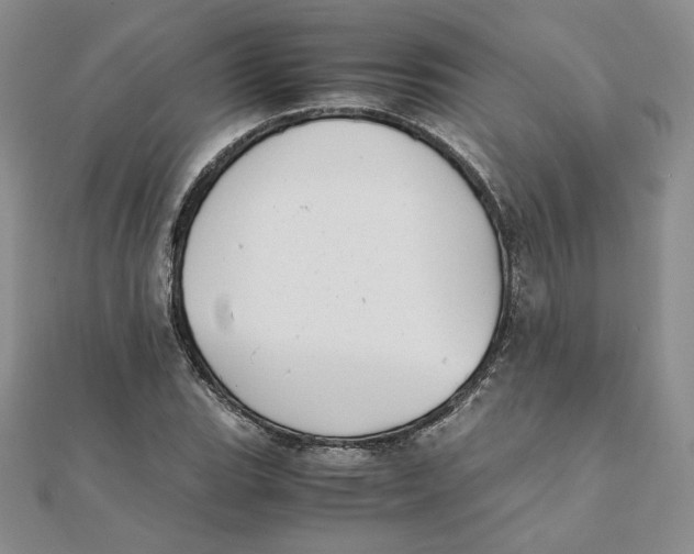 X0000111431119200908031325