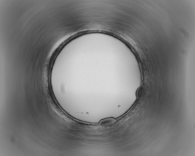 X0000111431120200908031325