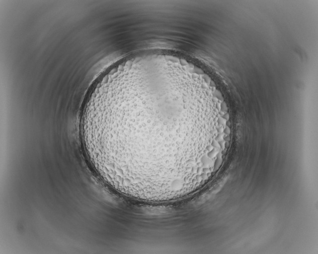 X0000111431121200908031325