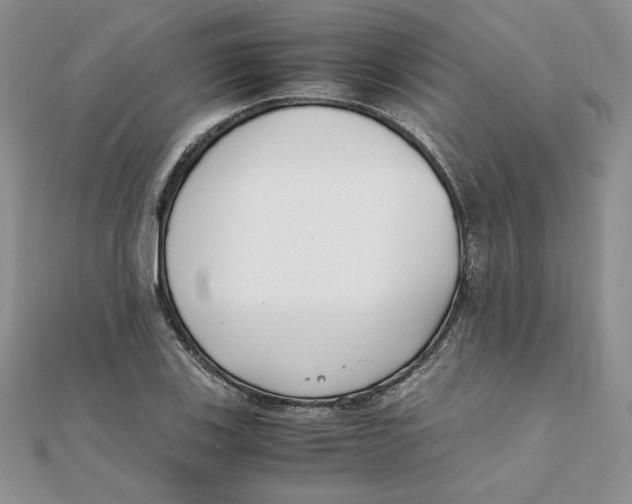 X0000111431123200908031325