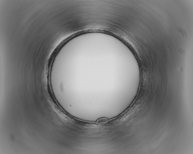 X0000111431124200908031325