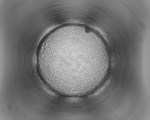 X0000111431125200908031325