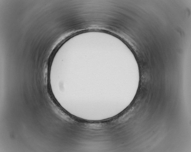 X0000111431126200908031325