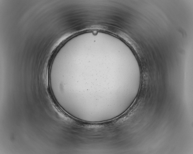 X0000111431127200908031325