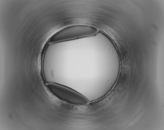 X0000111431128200908031325