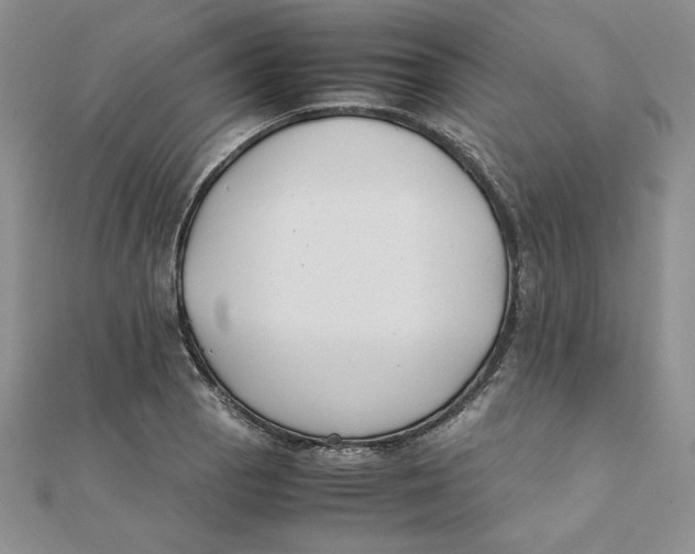 X0000111431129200908031325