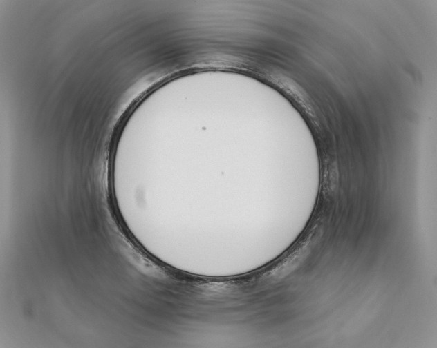 X0000111431130200908031325