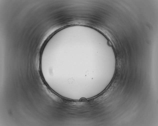 X0000111431131200908031325