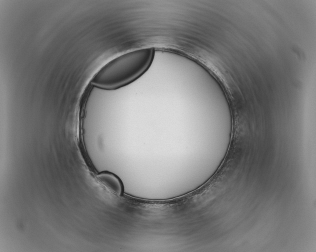 X0000111431132200908031325