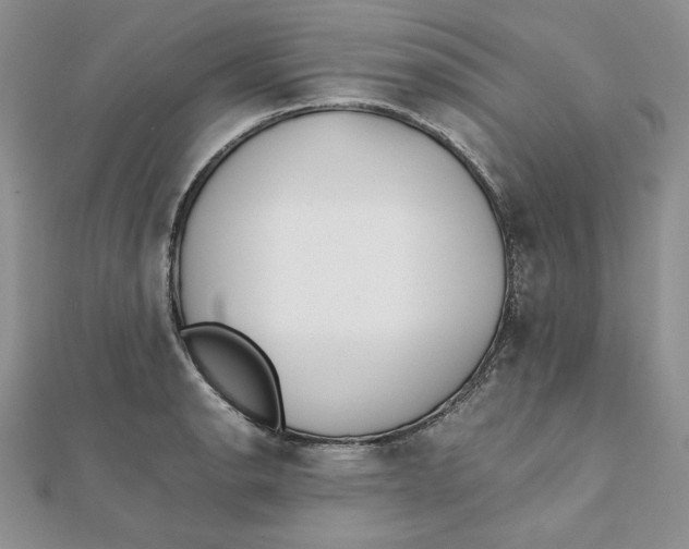 X0000111431134200908031325