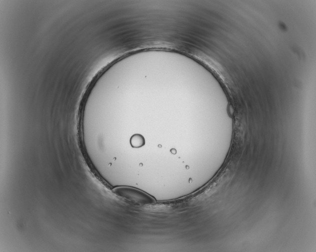 X0000111431135200908031325