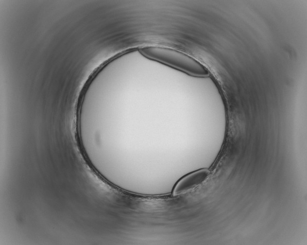 X0000111431136200908031325