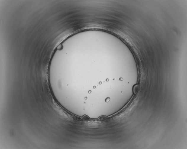 X0000111431137200908031325