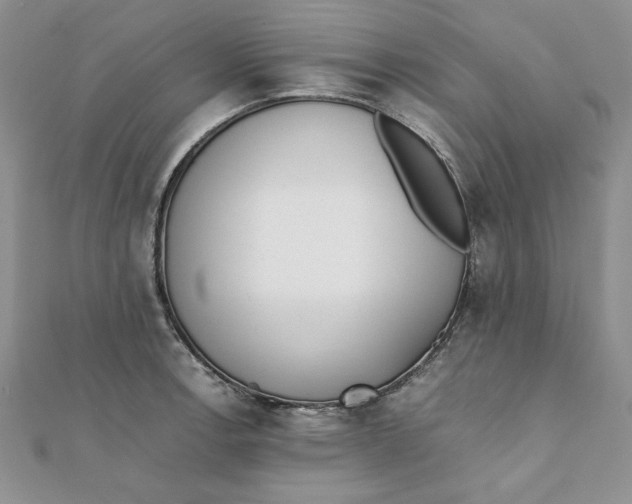 X0000111431138200908031325