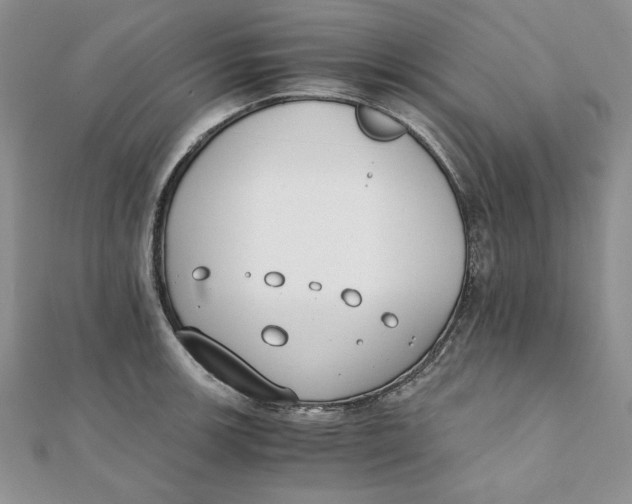 X0000111431139200908031326