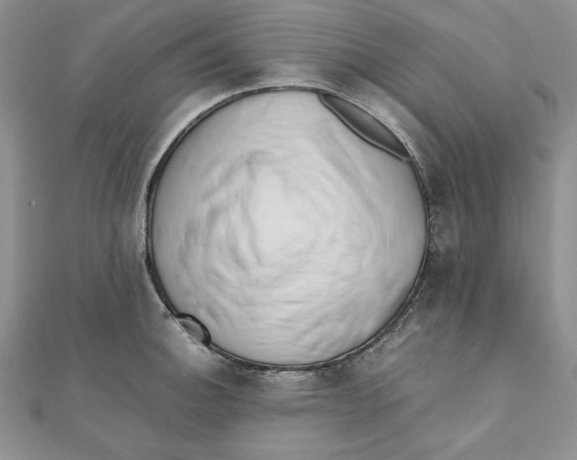 X0000111431140200908031326