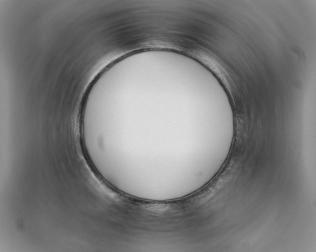 X0000111431141200908031326