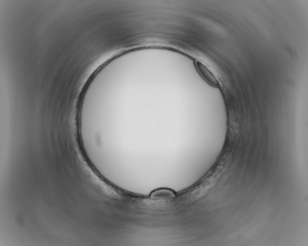 X0000111431142200908031326