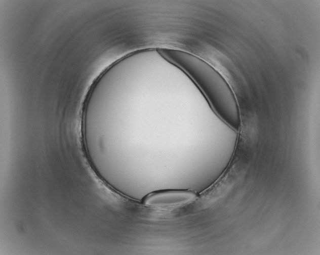 X0000111431144200908031326