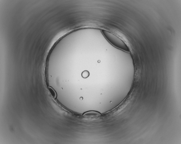 X0000111431146200908031326