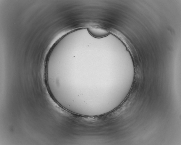 X0000111431147200908031326