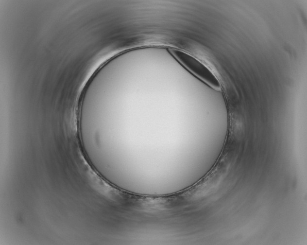 X0000111431148200908031326