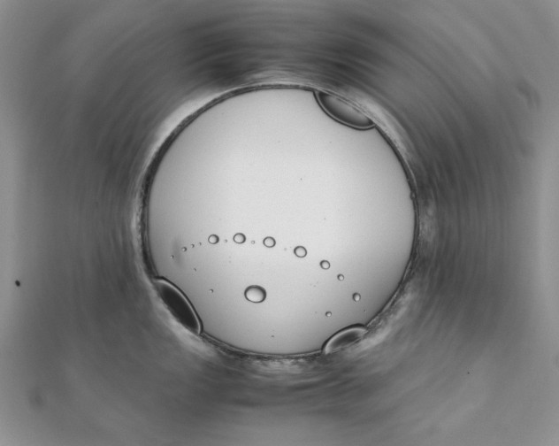 X0000111431149200908031326