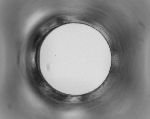 X0000111431150200908031326