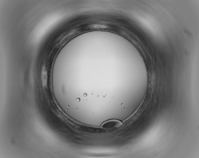 X0000111431151200908031326