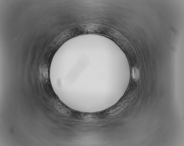 X0000111431155200908031325