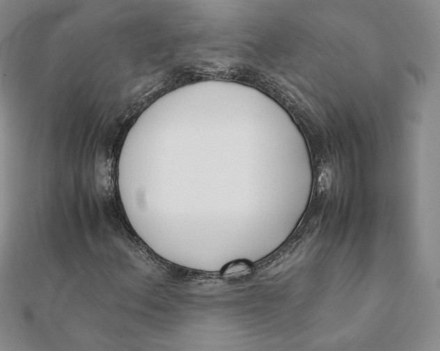 X0000111431156200908031325