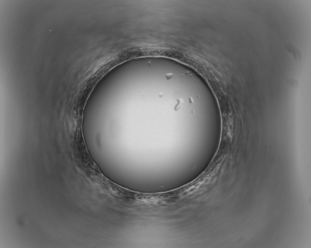 X0000111431157200908031325