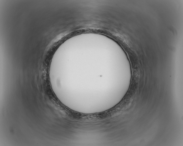 X0000111431159200908031325