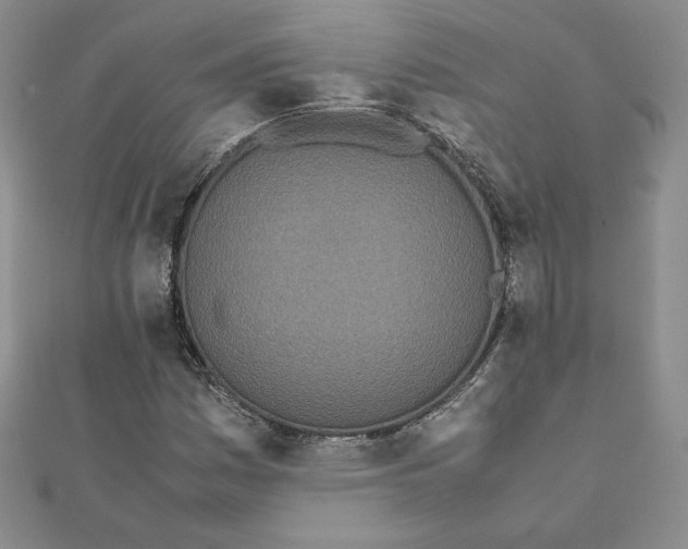 X0000111431161200908031325