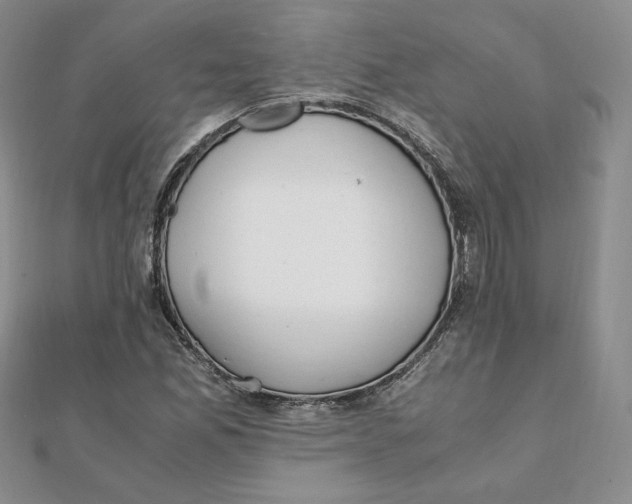 X0000111431165200908031325