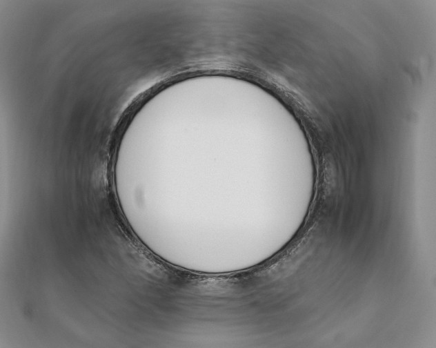 X0000111431166200908031325