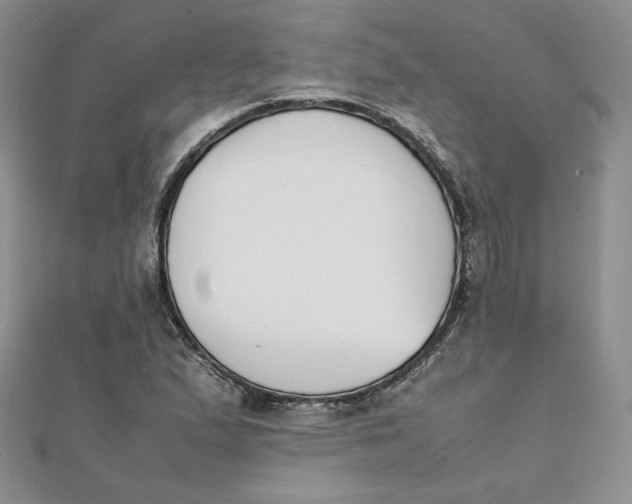 X0000111431167200908031325