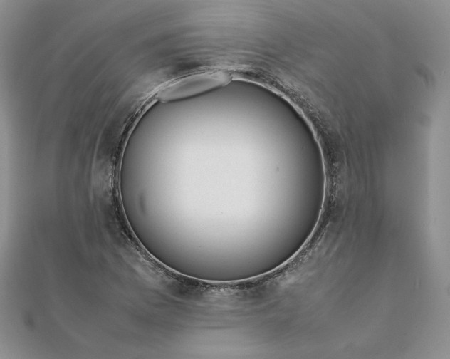 X0000111431169200908031325