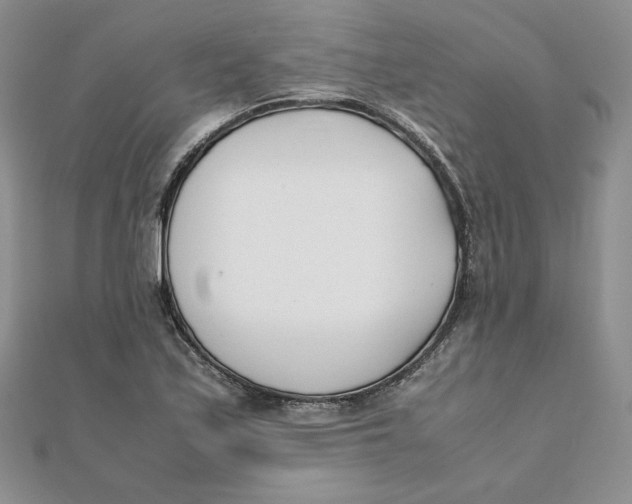 X0000111431171200908031325