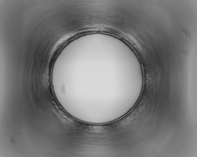 X0000111431172200908031325