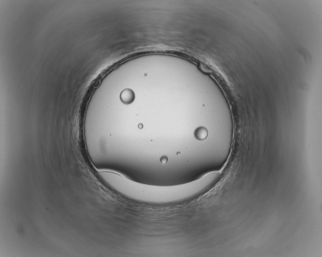 X0000111431173200908031325