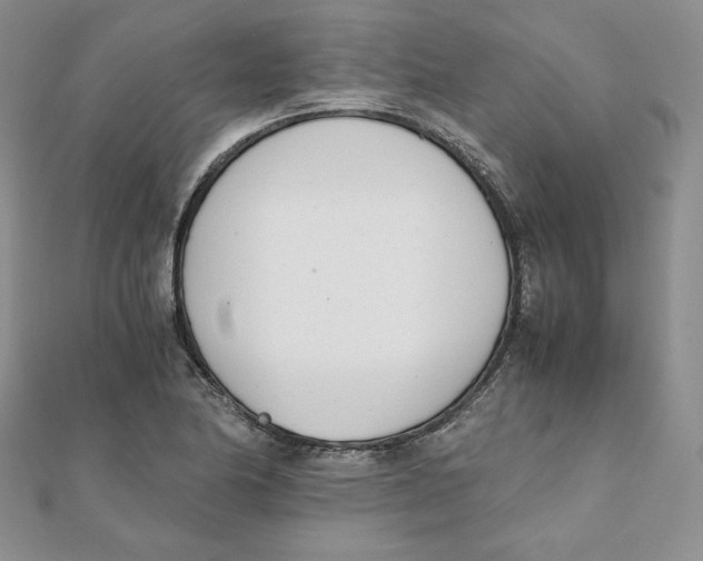 X0000111431174200908031325