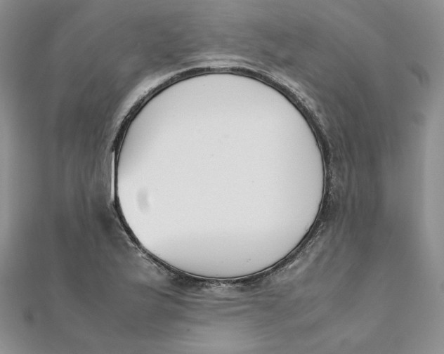 X0000111431175200908031325