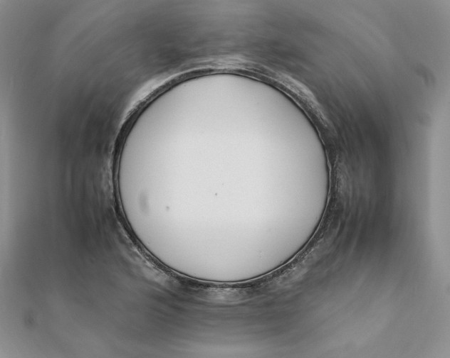 X0000111431176200908031325