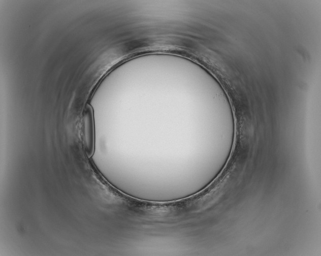 X0000111431177200908031325