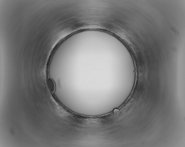 X0000111431181200908031325