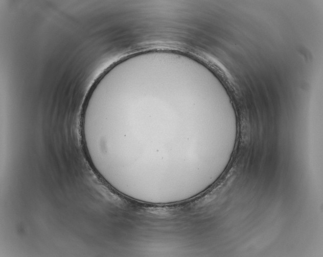 X0000111431182200908031325