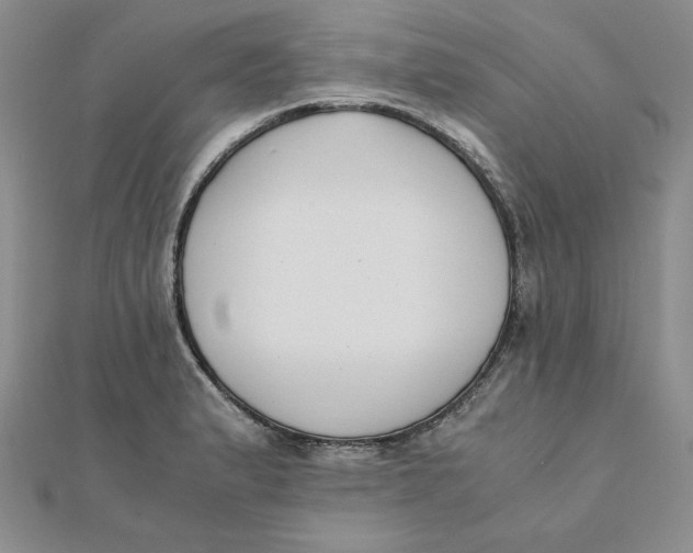 X0000111431183200908031325