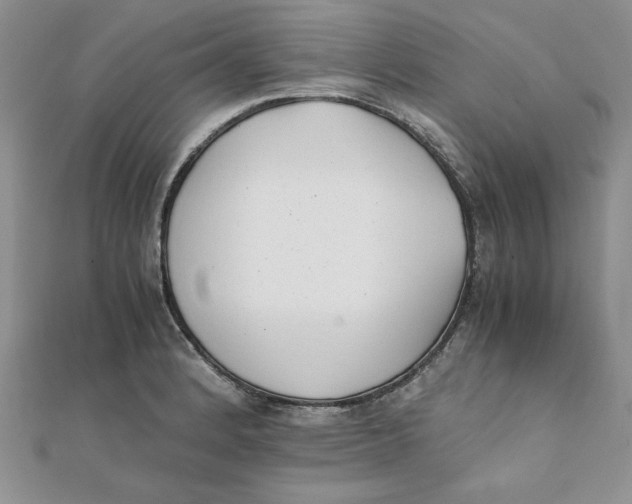 X0000111431184200908031325