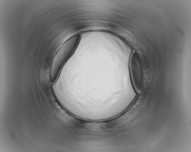 X0000111431185200908031325